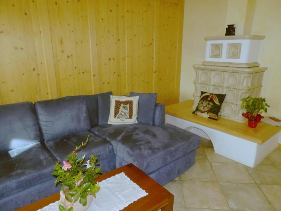 Appartement Ciasa Gran Panorama Moena Extérieur photo